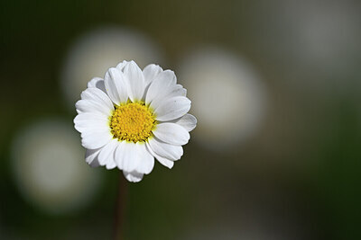 BUITEN BEELD Foto: 444507
