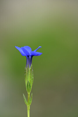 BUITEN BEELD Foto: 444512