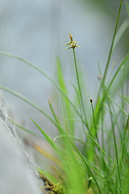 BUITEN BEELD Foto: 444519