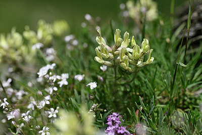 BUITEN BEELD Foto: 444522