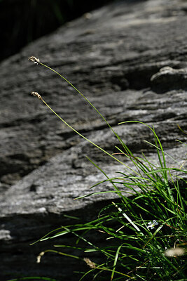 BUITEN BEELD Foto: 444528