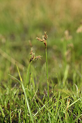 BUITEN BEELD Foto: 444534