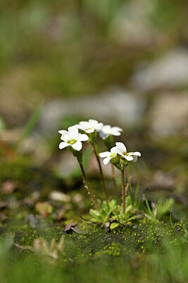 BUITEN BEELD Foto: 444536