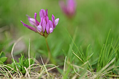 BUITEN BEELD Foto: 444537