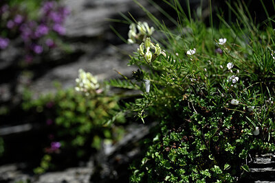 BUITEN BEELD Foto: 444560