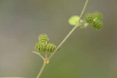BUITEN BEELD Foto: 444564