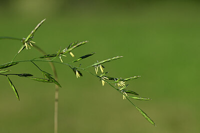 BUITEN BEELD Foto: 444569