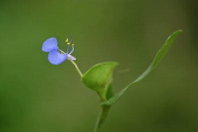 BUITEN BEELD Foto: 444571