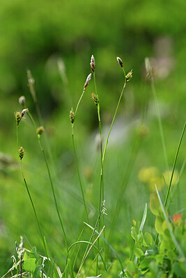 BUITEN BEELD Foto: 444574