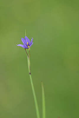 BUITEN BEELD Foto: 444587
