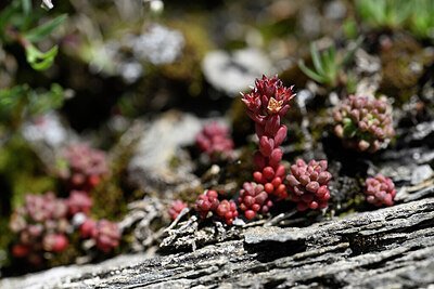BUITEN BEELD Foto: 444590