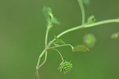 BUITEN BEELD Foto: 444591