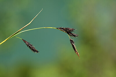 BUITEN BEELD Foto: 444592