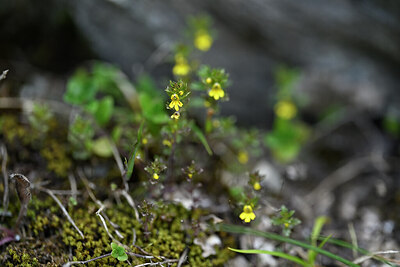 BUITEN BEELD Foto: 444593