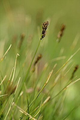 BUITEN BEELD Foto: 444604