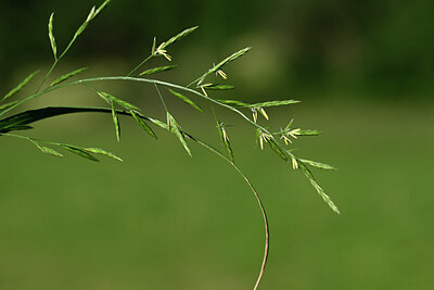 BUITEN BEELD Foto: 444627