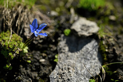 BUITEN BEELD Foto: 444631