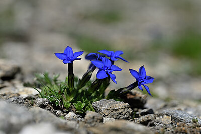 BUITEN BEELD Foto: 444634