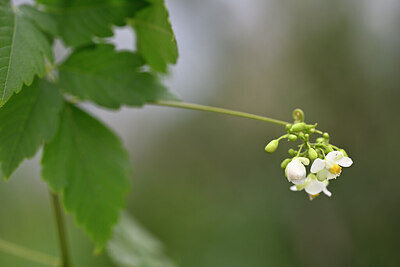 BUITEN BEELD Foto: 444636
