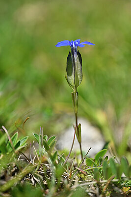 BUITEN BEELD Foto: 444659