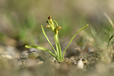 BUITEN BEELD Foto: 444661