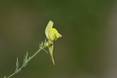 BUITEN BEELD Foto: 444662