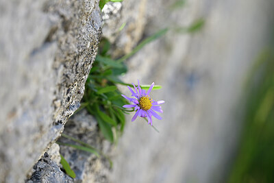 BUITEN BEELD Foto: 444663
