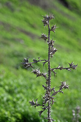 BUITEN BEELD Foto: 444668