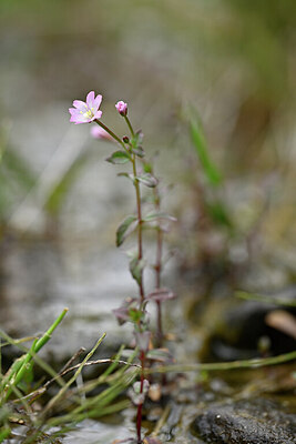 BUITEN BEELD Foto: 444672