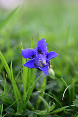 BUITEN BEELD Foto: 444677