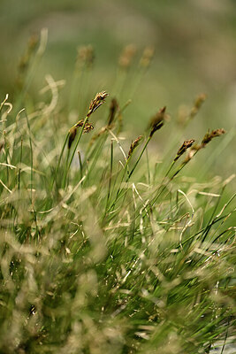 BUITEN BEELD Foto: 444690