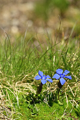 BUITEN BEELD Foto: 444691
