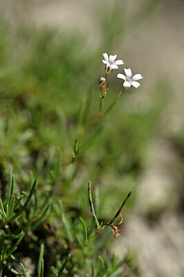 BUITEN BEELD Foto: 444703