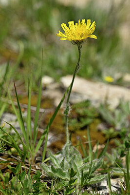 BUITEN BEELD Foto: 444721