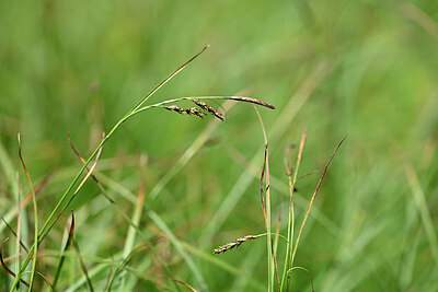 BUITEN BEELD Foto: 444722