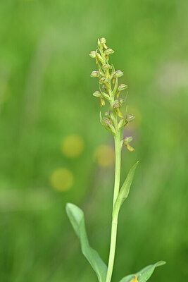 BUITEN BEELD Foto: 444723
