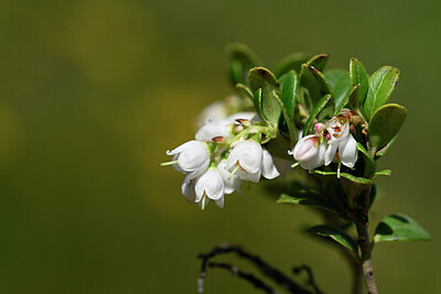 BUITEN BEELD Foto: 444732