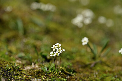BUITEN BEELD Foto: 444734