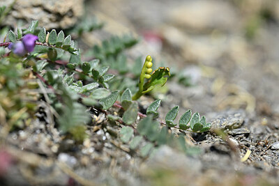 BUITEN BEELD Foto: 444739
