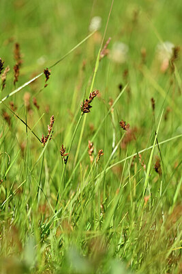 BUITEN BEELD Foto: 444742