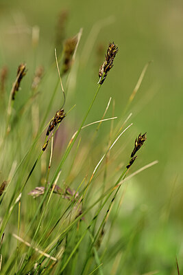 BUITEN BEELD Foto: 444743