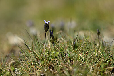 BUITEN BEELD Foto: 444746