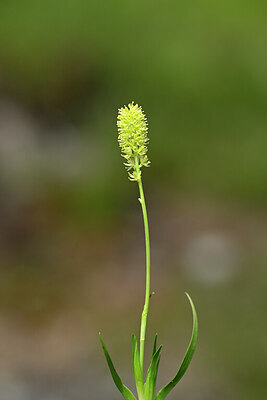 BUITEN BEELD Foto: 444747