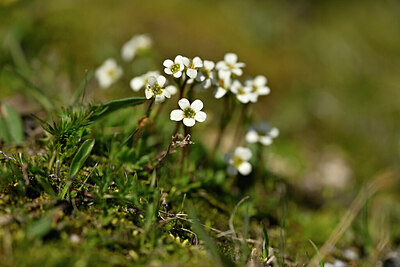 BUITEN BEELD Foto: 444756