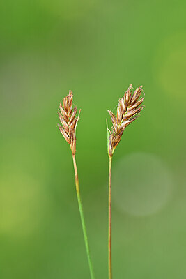 BUITEN BEELD Foto: 444761
