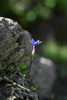 BUITEN BEELD Foto: 444765