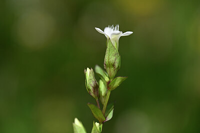 BUITEN BEELD Foto: 444769