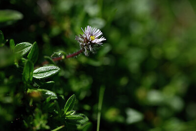 BUITEN BEELD Foto: 444776