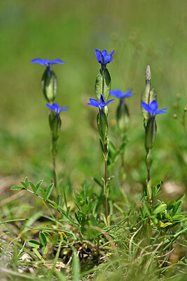 BUITEN BEELD Foto: 444781