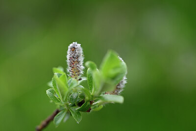 BUITEN BEELD Foto: 444782